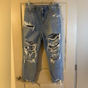 American Eagle High Rise Curvy Fit Mom Jean